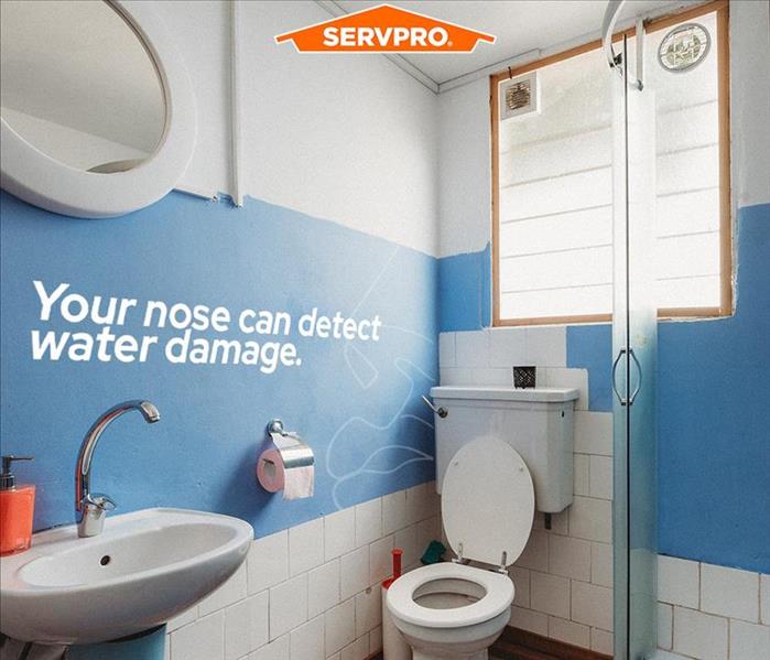 Bathroom with SERVPRO logo