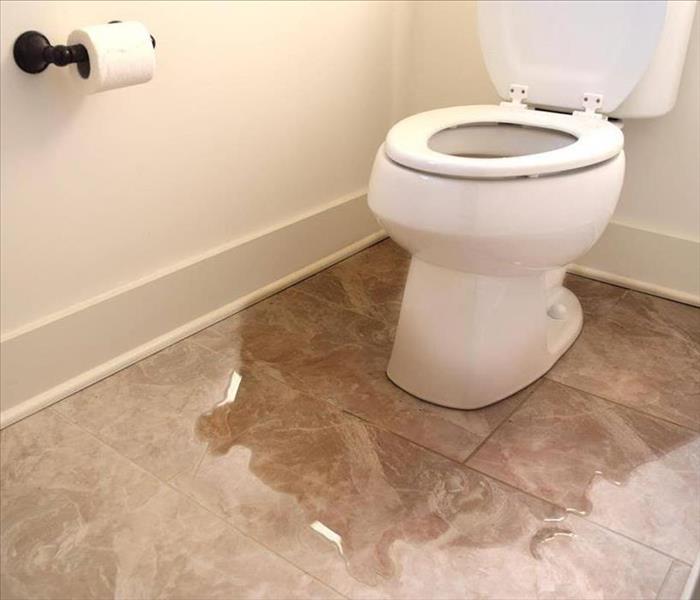 Toilet with standing water below