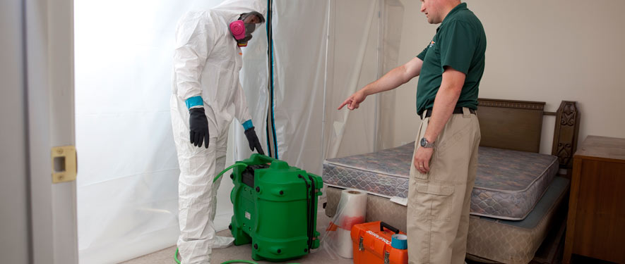 San Antonio, TX mold removal process